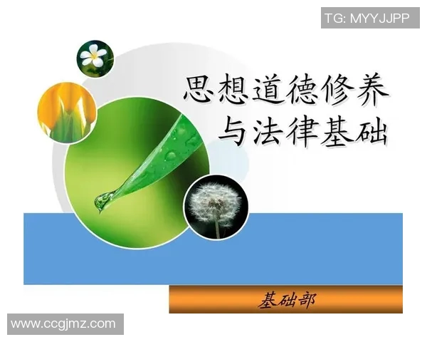 防御正义与戈多伊的较量：法律与道德的交锋与思考