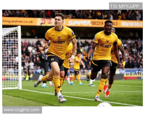 加迪夫城迎战狼队全力争胜展现英超激情与实力对决