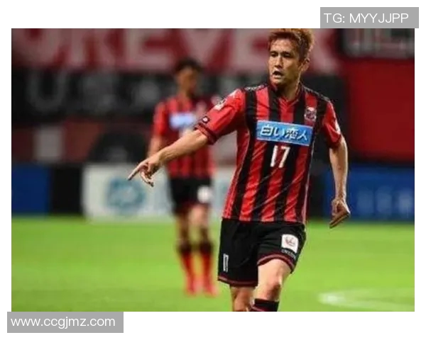 新泻天鹅对阵金泽精彩直播全程回顾与赛后分析